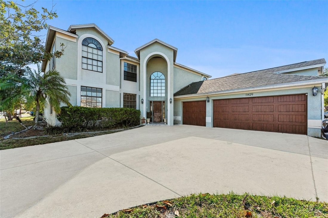 Haus in Tampa, Florida, Vereinigte Staaten 4 - 17185358