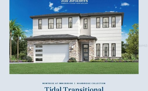 House in Palm Harbor, Florida, United States 1