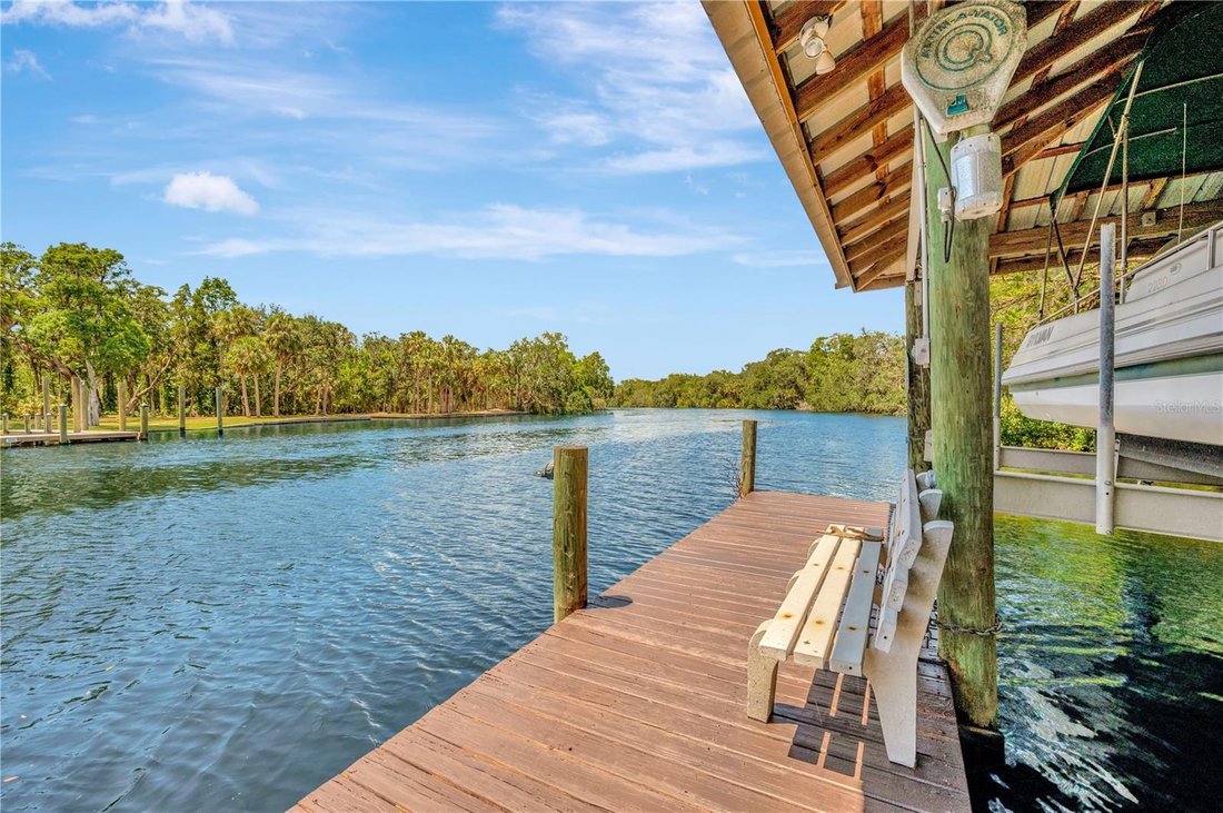 House in Riverview, Florida, United States 1 - 17179149