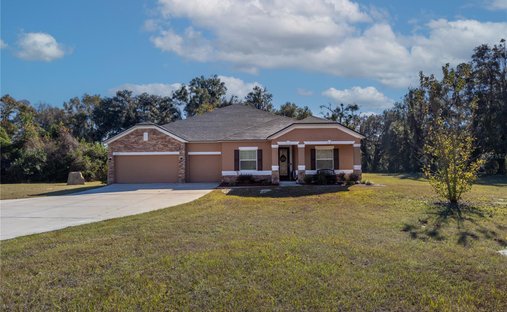 House in Newberry, Florida, United States 1