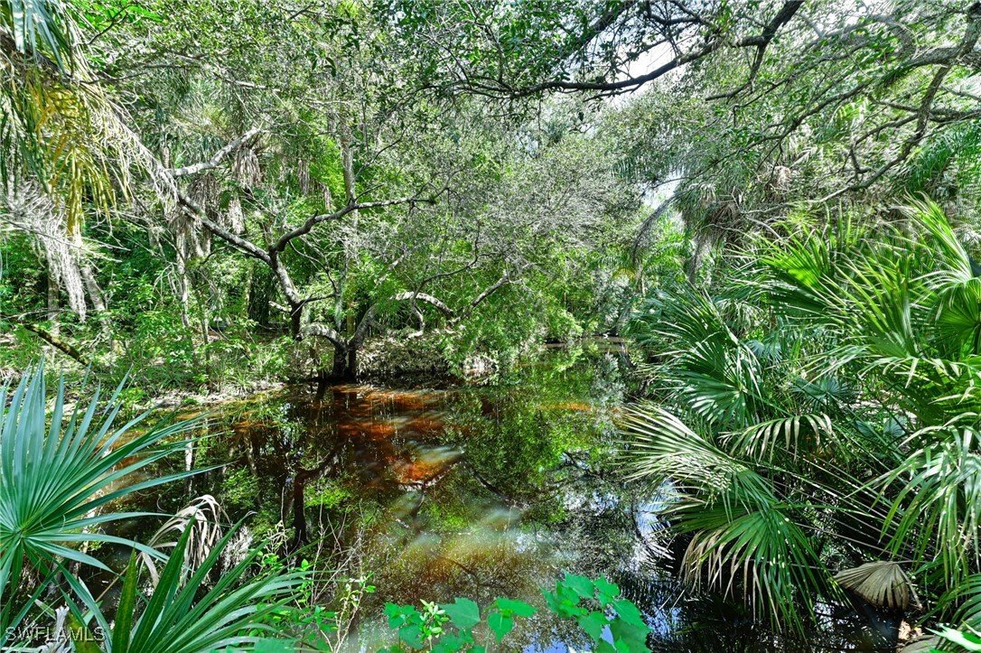 House in Estero, Florida, United States 3 - 17172370