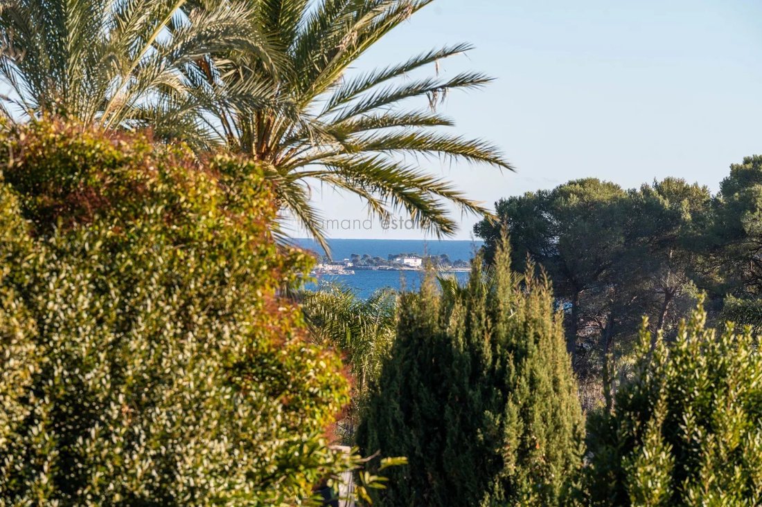Villa in Saint Maymes-Lauvert, Antibes, France 2 - 17154800