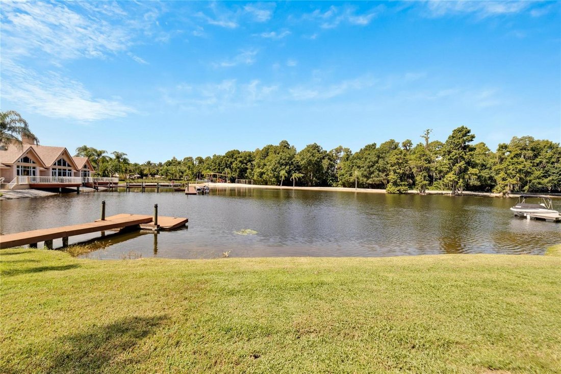 House in Tampa, Florida, United States 4 - 17185685