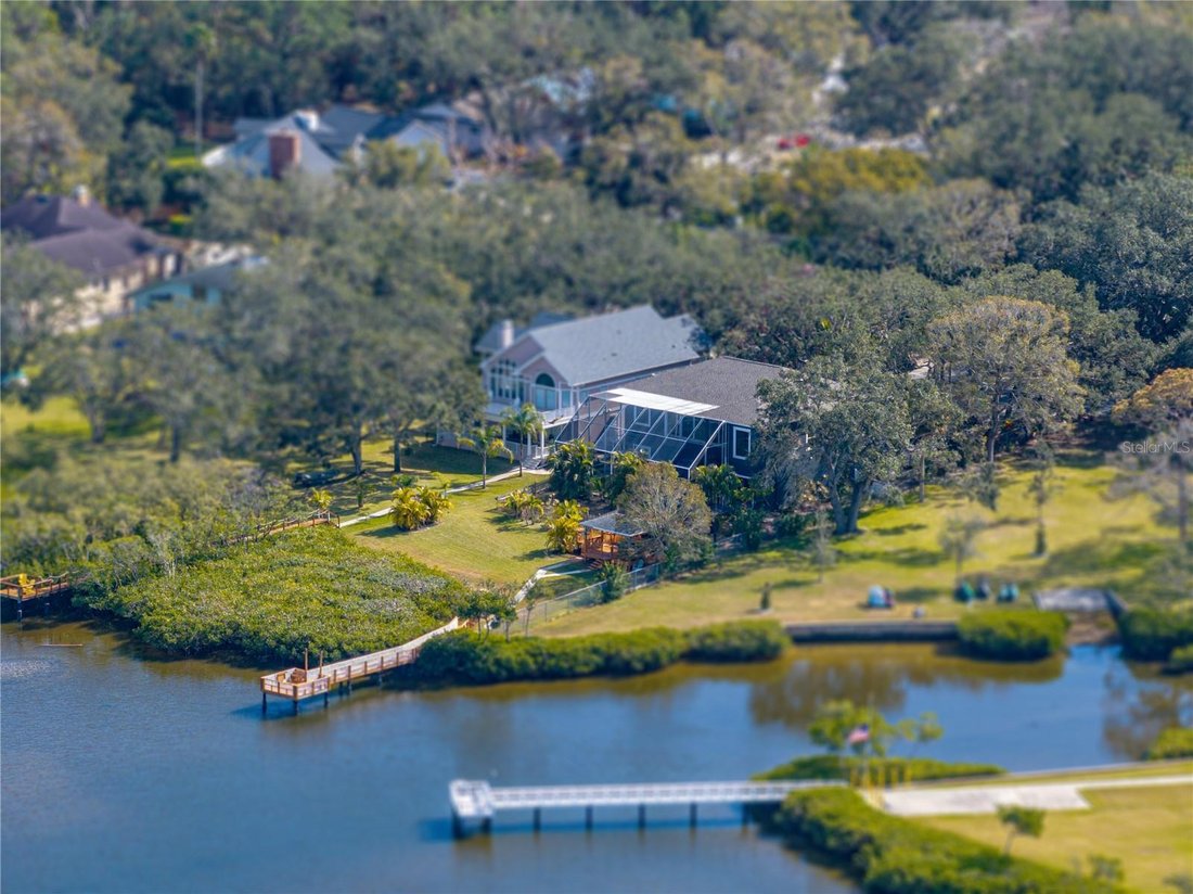 House in Safety Harbor, Florida, United States 1 - 17182816