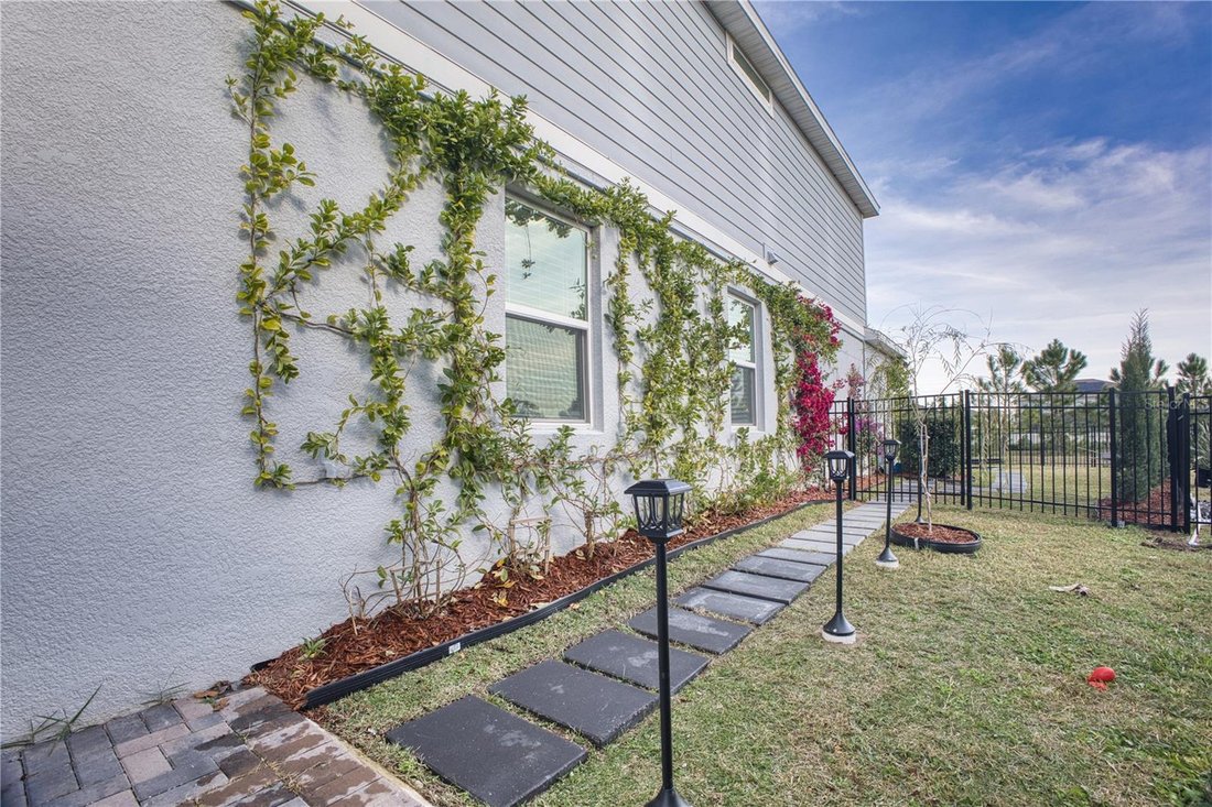 House in Winter Garden, Florida, United States 4 - 17184785