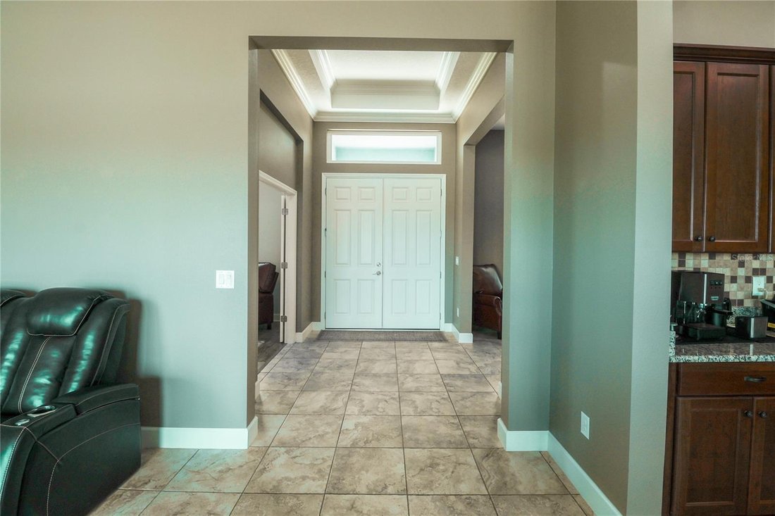House in Wimauma, Florida, United States 3 - 17180907
