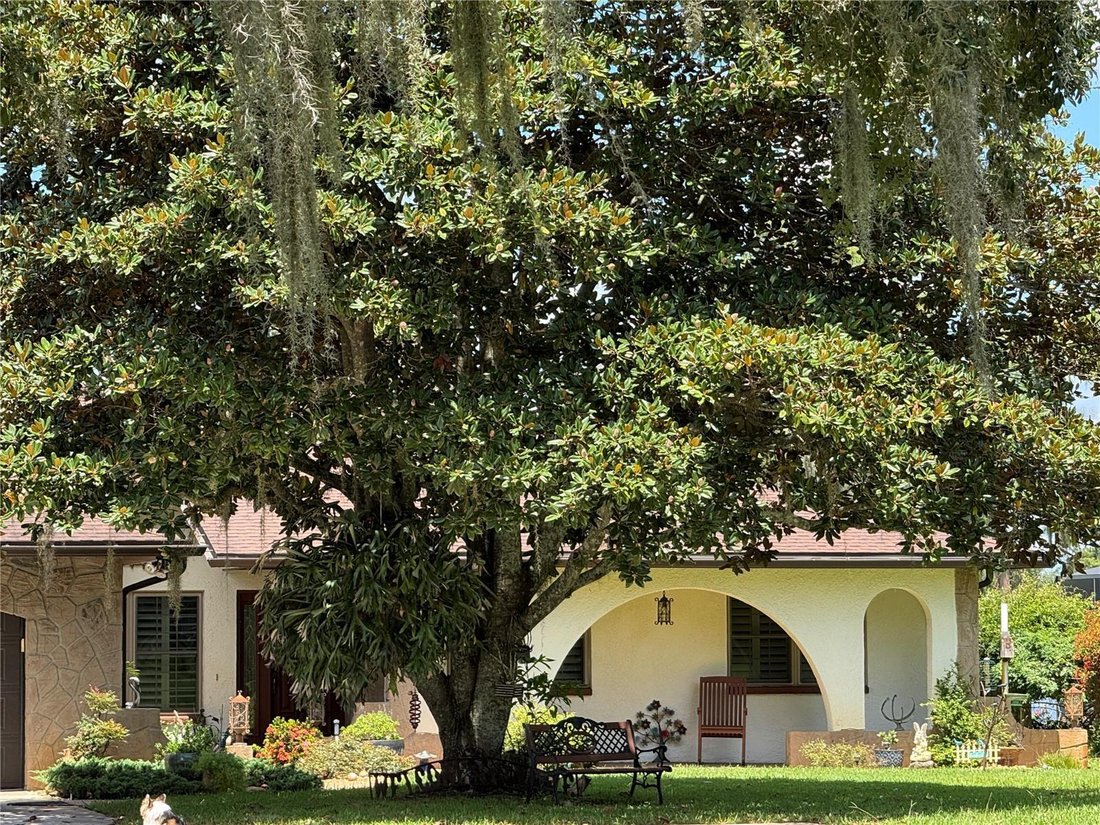 House in Land O' Lakes, Florida, United States 3 - 17185075