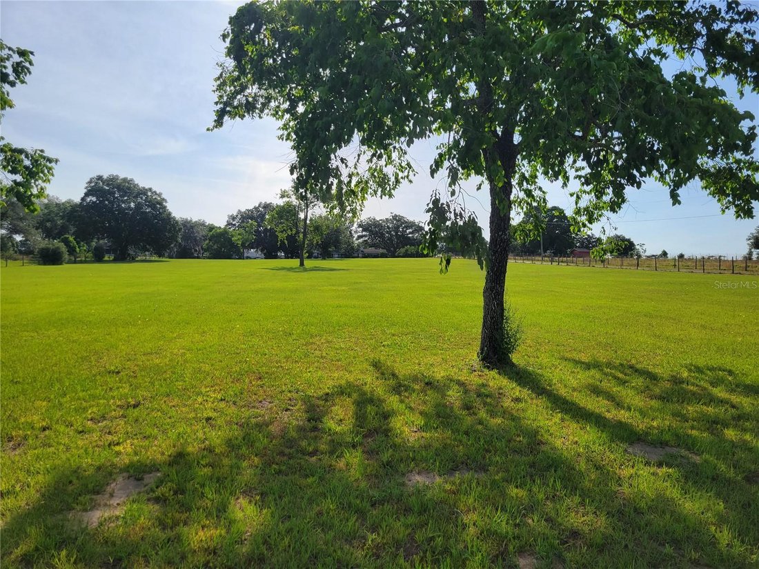 House in Apopka, Florida, United States 4 - 17186961