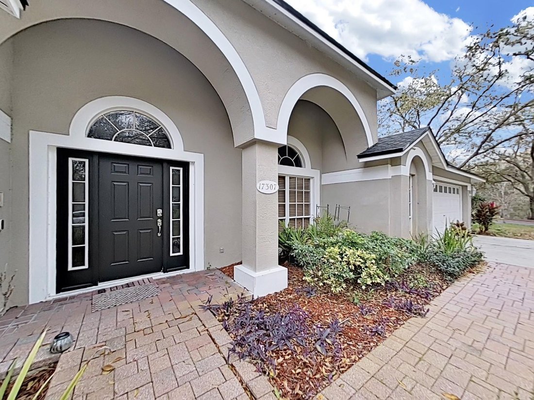 House in Lutz, Florida, United States 5 - 17186912