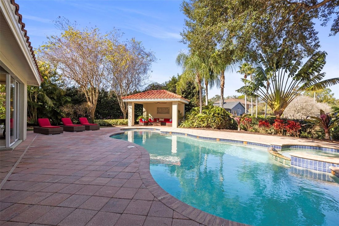 House in Palm Harbor, Florida, United States 4 - 17181108