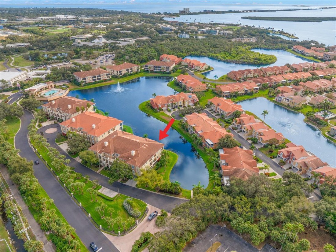 Condo in St. Petersburg, Florida, United States 1 - 17178658
