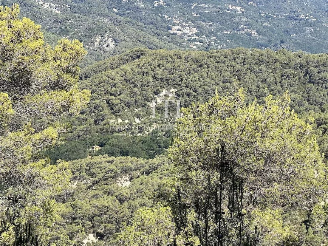 Estate in Nice, Provence-Alpes-Côte d'Azur, France 2 - 12227626