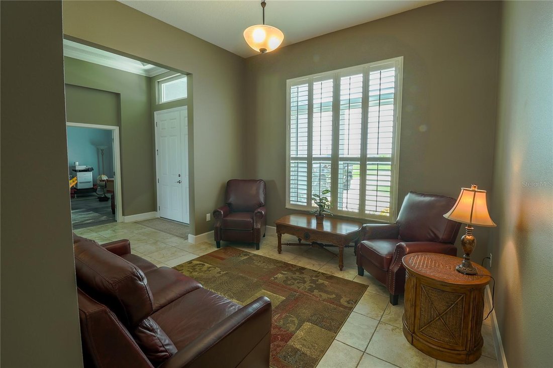 House in Wimauma, Florida, United States 5 - 17180907