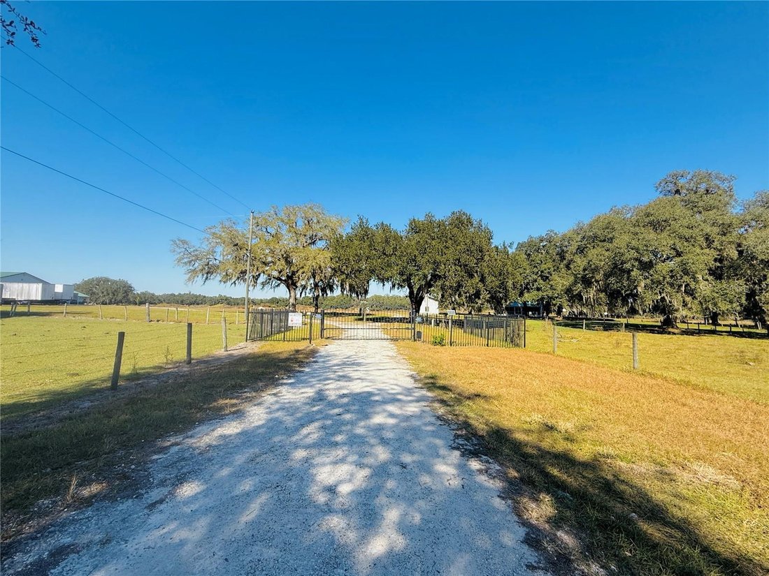 House in Bushnell, Florida, United States 3 - 17179042