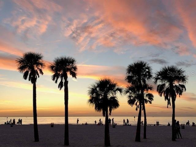 House in Clearwater, Florida, United States 3 - 17187315
