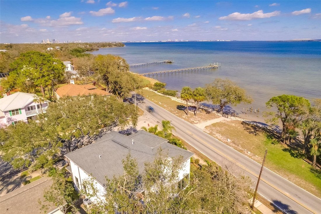 House in Tampa, Florida, United States 3 - 17182661