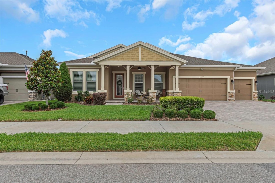 House in Trinity, Florida, United States 1 - 17183183