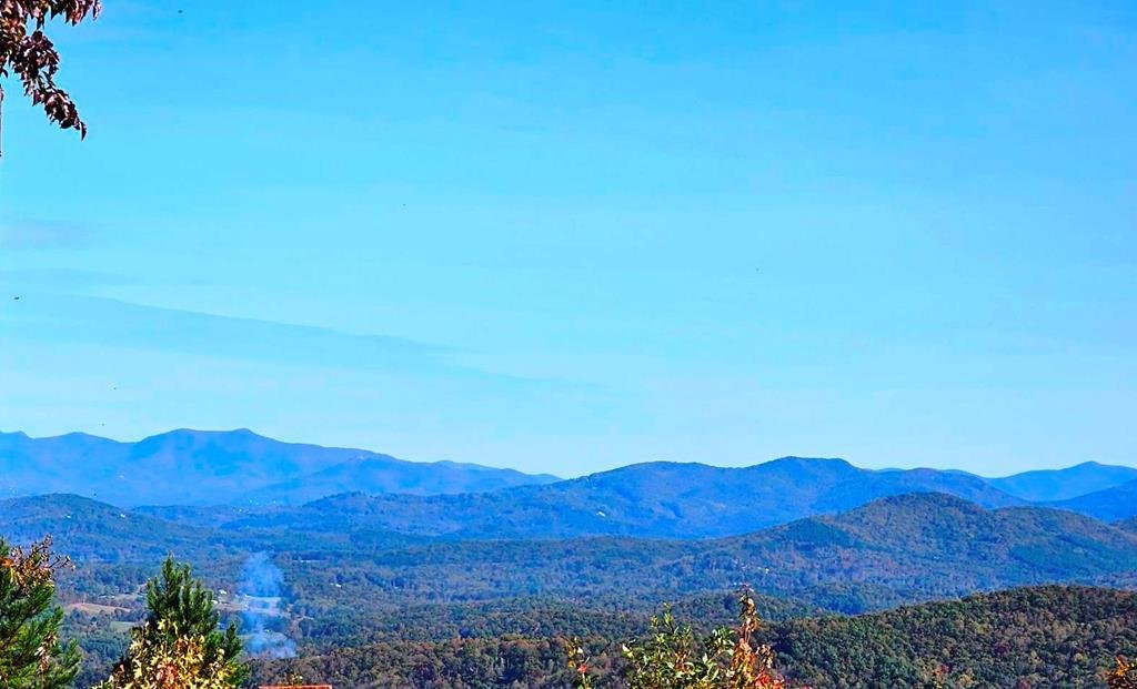 House in Brasstown, North Carolina, United States 5 - 17162496
