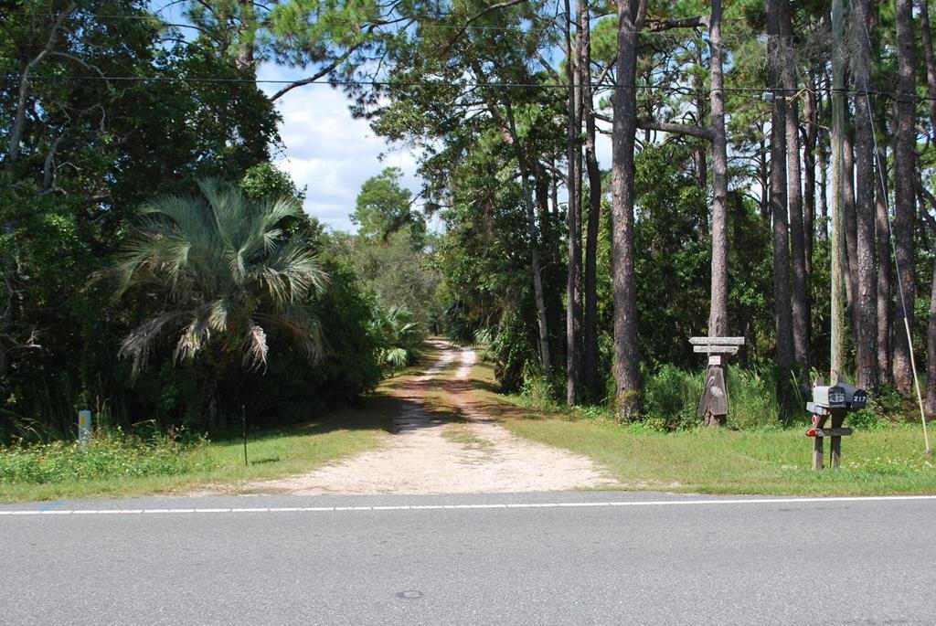 House in Saint George Island, Florida, United States 4 - 17161738
