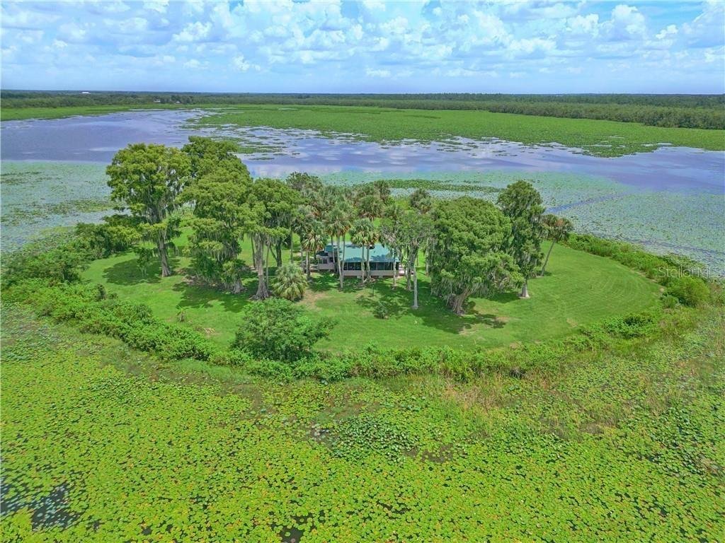 House in Lake Wales, Florida, United States 5 - 17186897