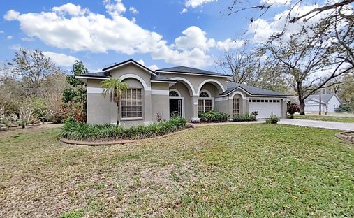 House in Lutz, Florida, United States 1