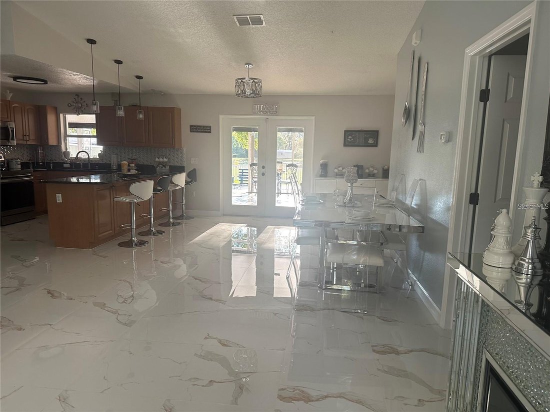 House in Tampa, Florida, United States 4 - 17185883
