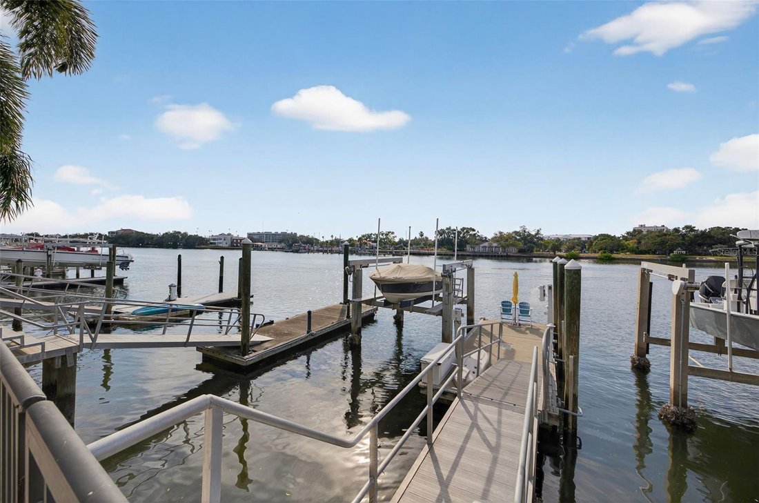 House in Tampa, Florida, United States 3 - 17184719