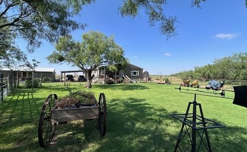 Snyder, Texas, United States 1