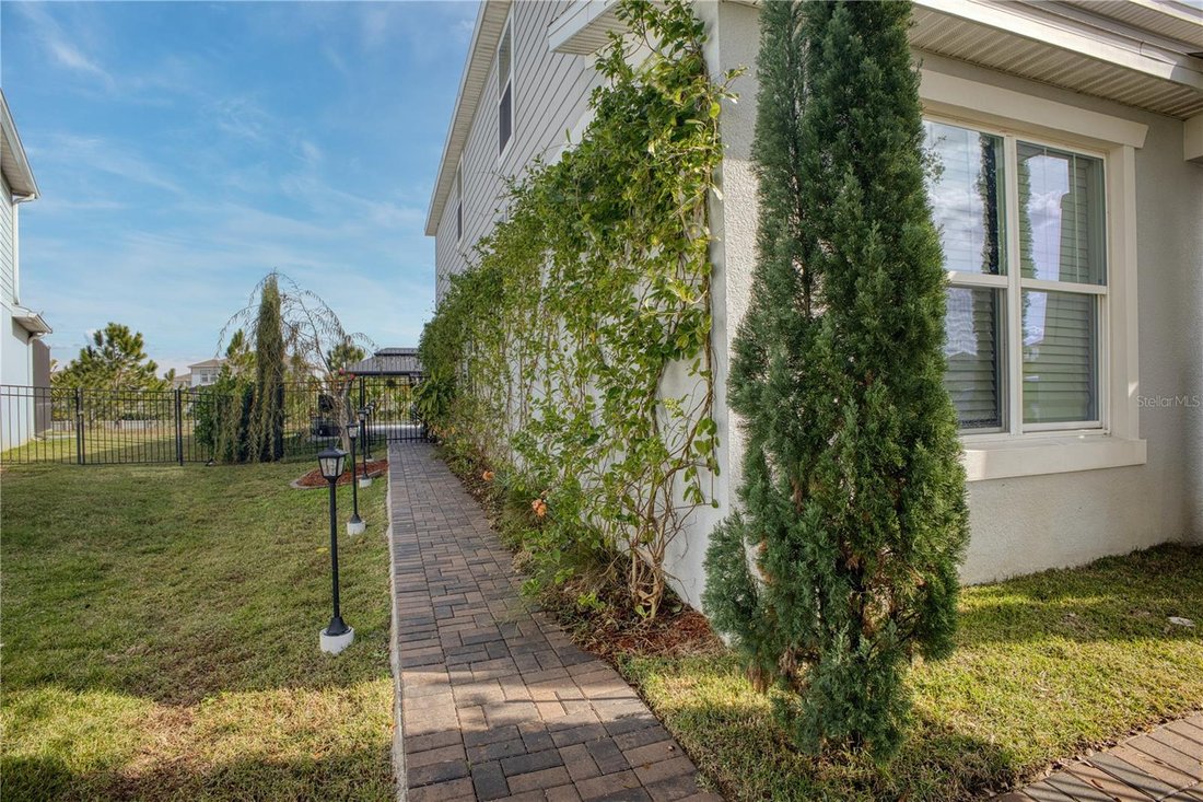 House in Winter Garden, Florida, United States 3 - 17184785