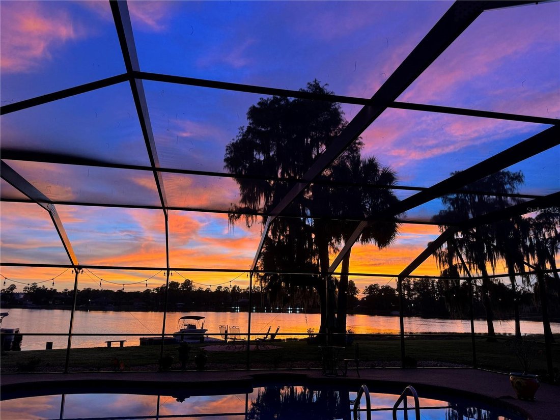 House in Land O' Lakes, Florida, United States 1 - 17185075