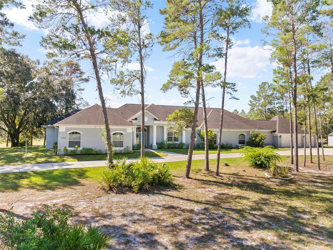 House in South Brooksville, Florida, United States 1 - 17180220