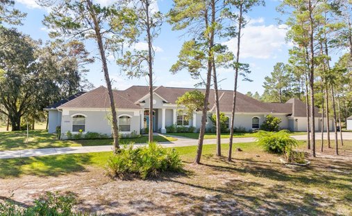 Casa a South Brooksville, Florida, Stati Uniti 1