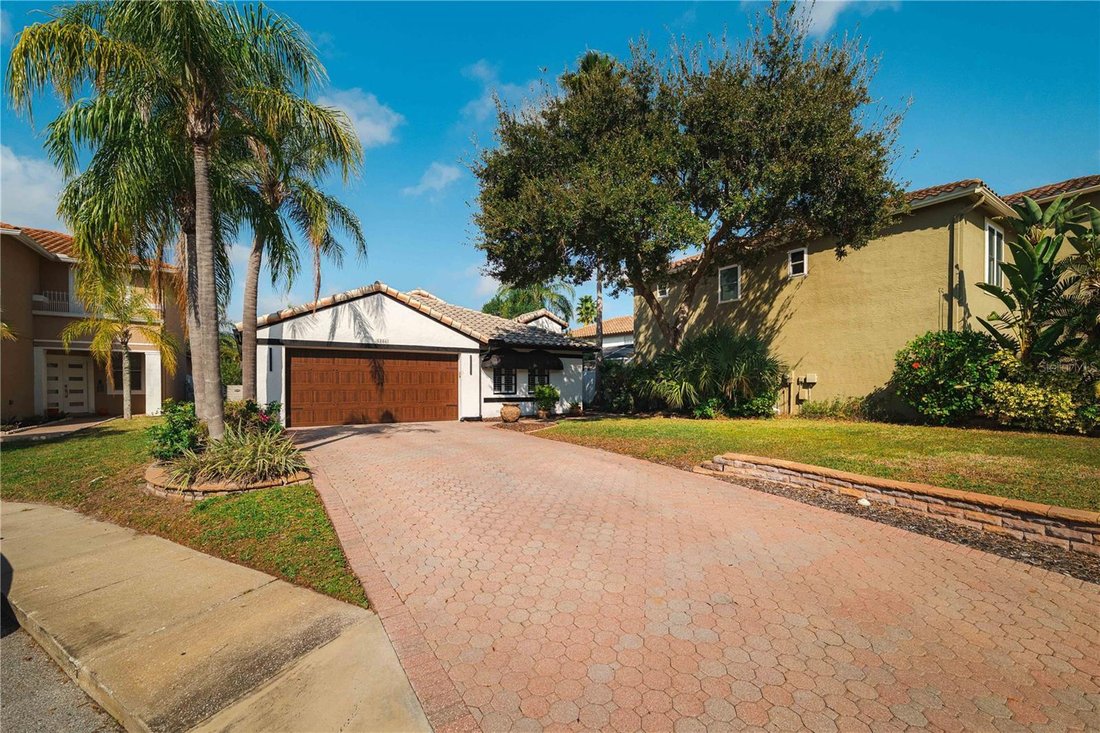 House in Tampa, Florida, United States 3 - 17186302