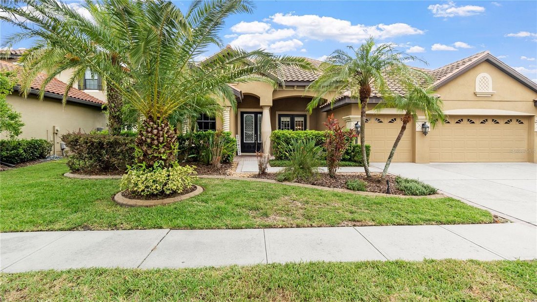 House in Tampa, Florida, United States 3 - 17181408