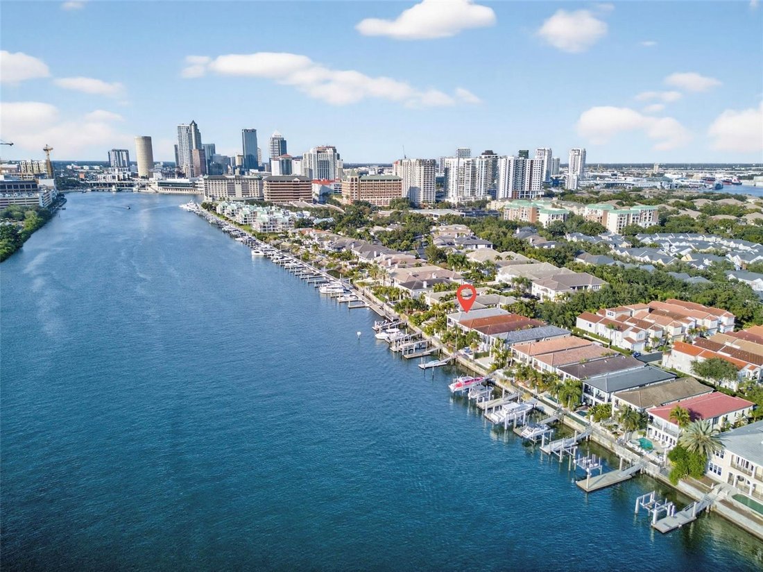 House in Tampa, Florida, United States 4 - 17184719