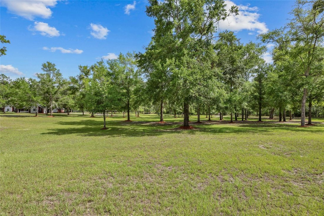 House in Fort White, Florida, United States 5 - 17185588