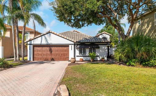 House in Tampa, Florida, United States 1