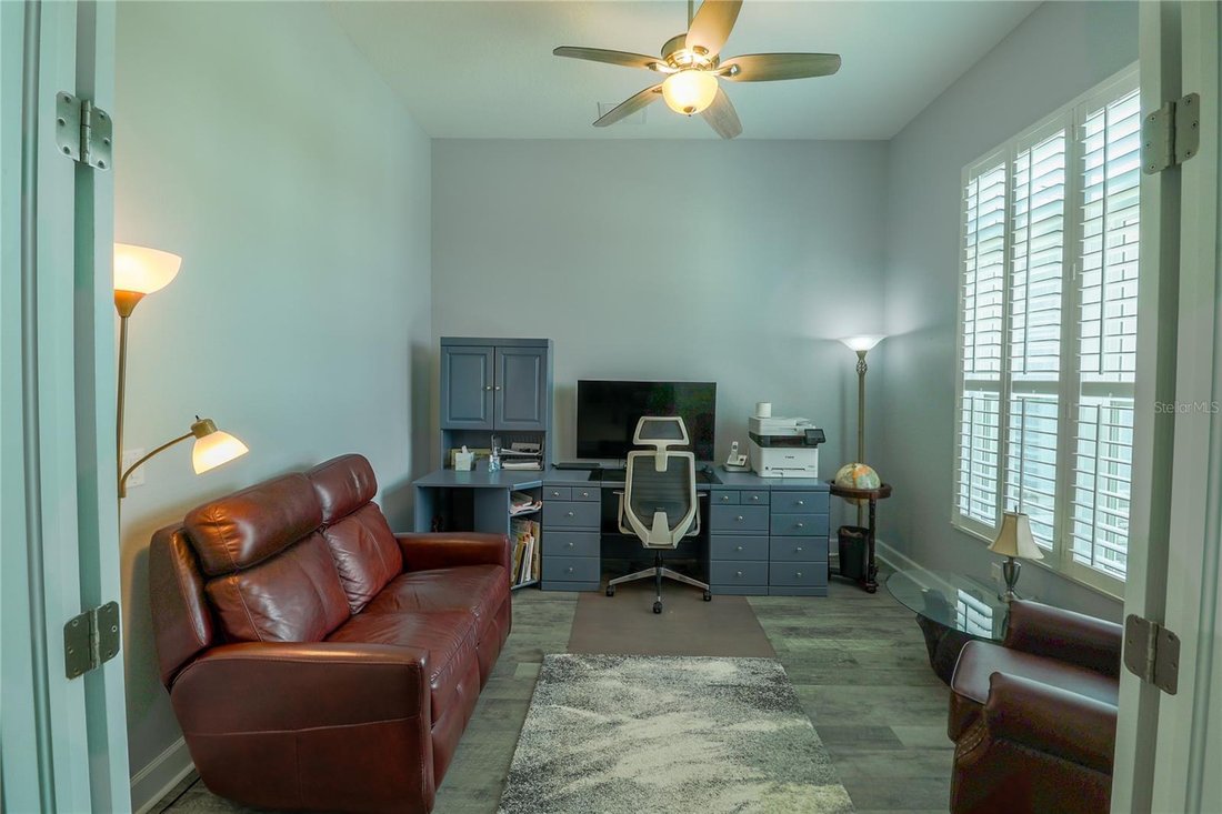 House in Wimauma, Florida, United States 4 - 17180907