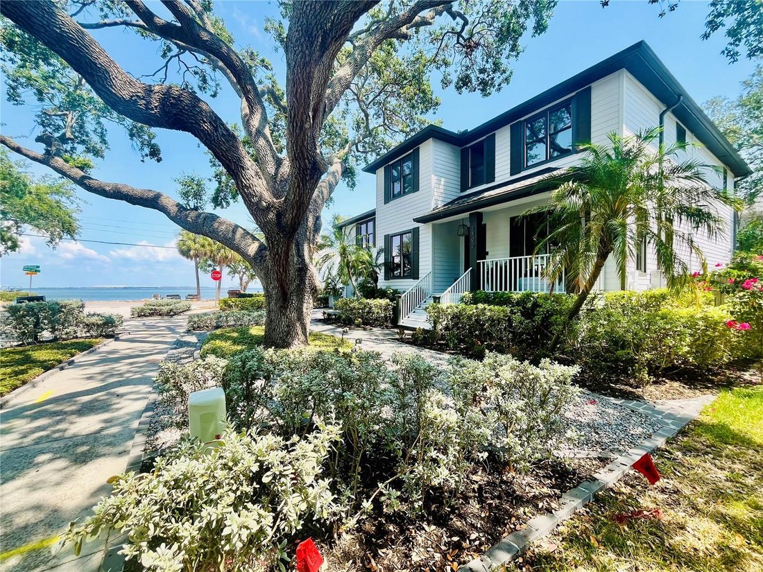 House in Tampa, Florida, United States 1 - 17182661