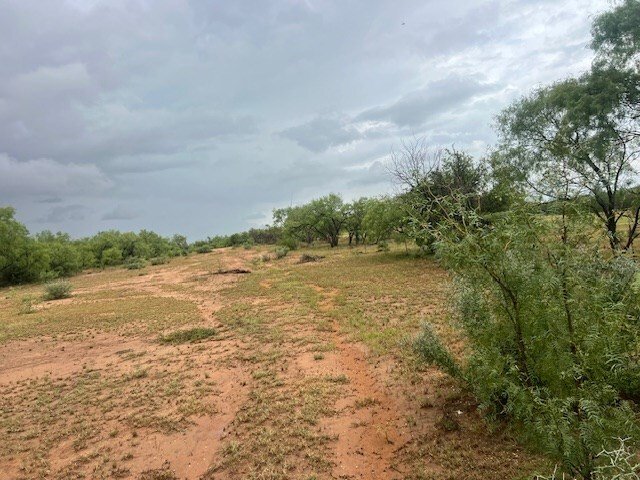 Snyder, Texas, United States 5 - 17163218