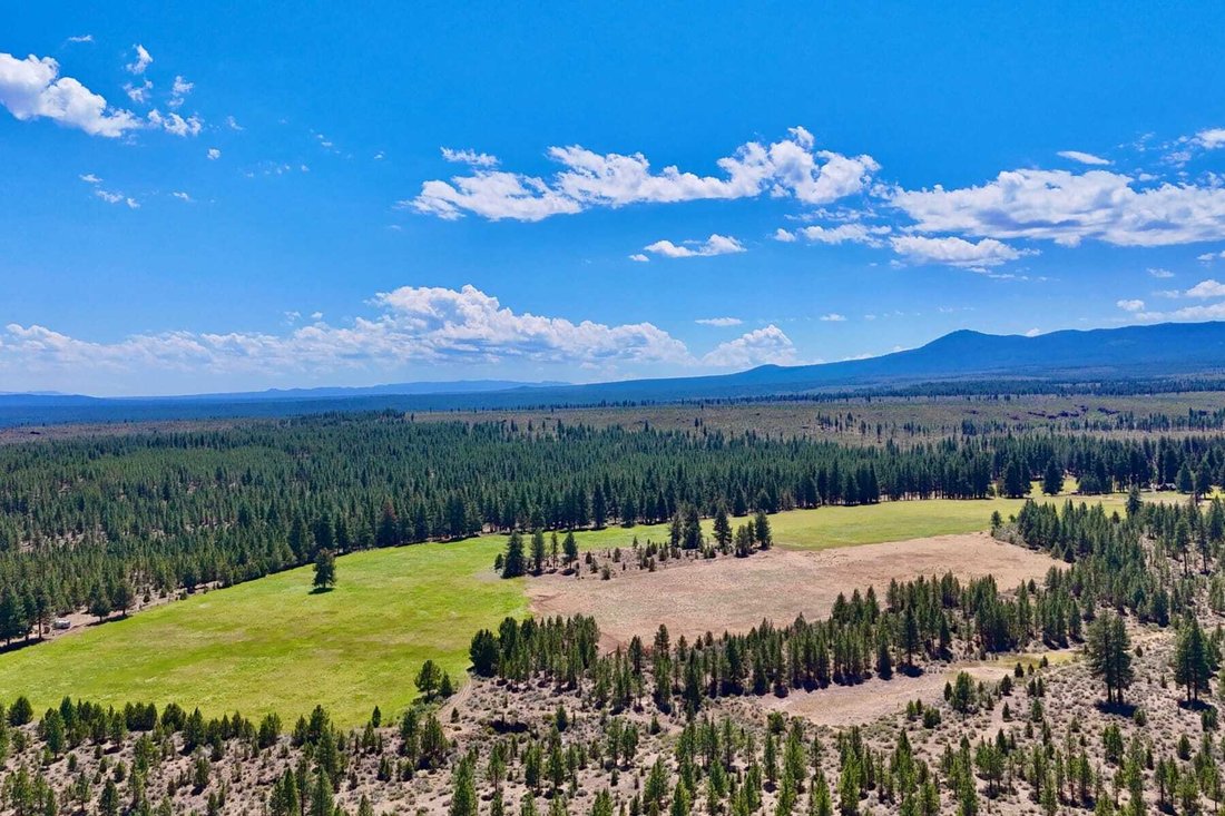 House in Sisters, Oregon, United States 5 - 17166093