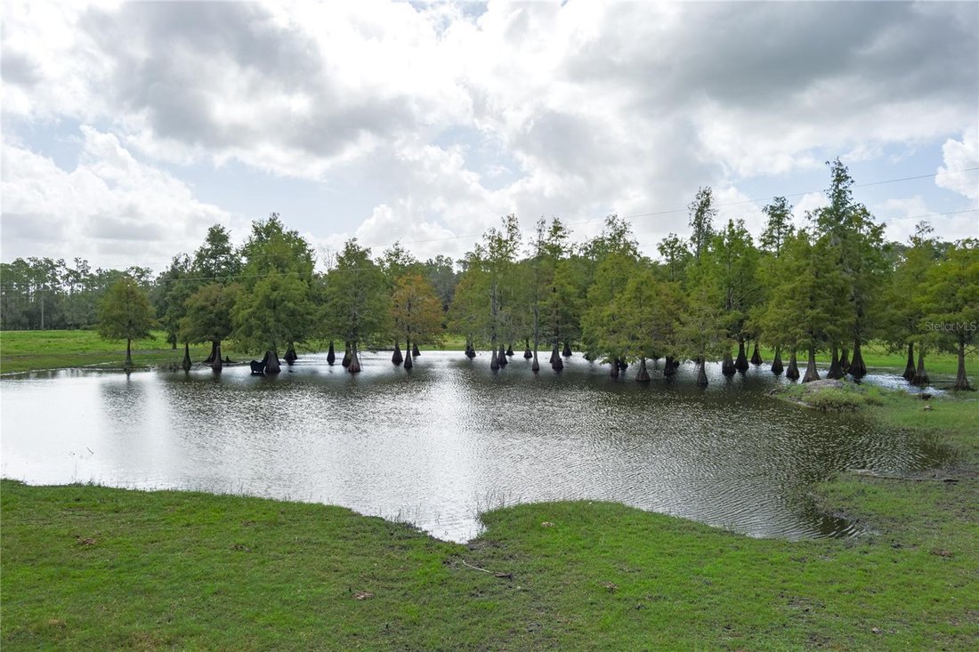 House in Ona, Florida, United States 4 - 17182604