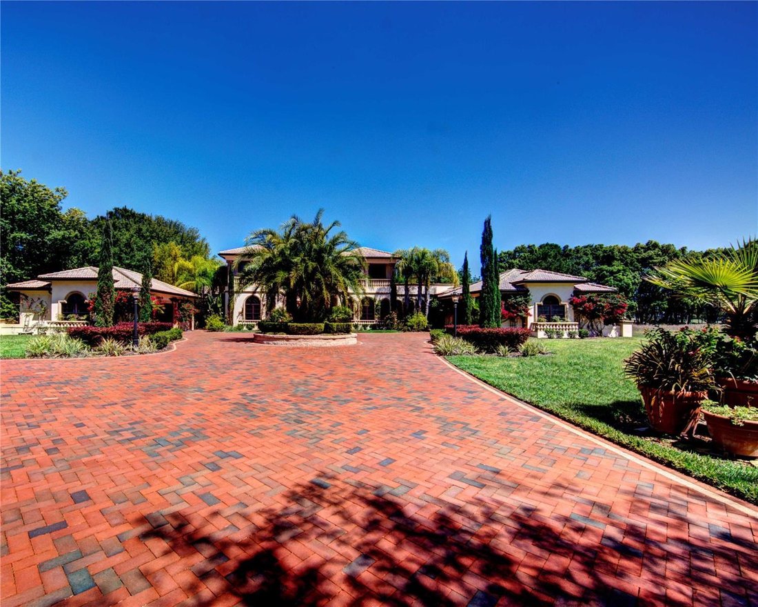 House in Lutz, Florida, United States 3 - 17186678