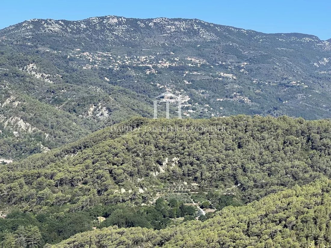 Estate in Nice, Provence-Alpes-Côte d'Azur, France 1 - 12227626