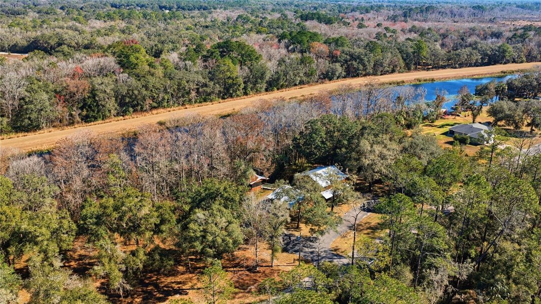 House in Ocklawaha, Florida, United States 3 - 17187007