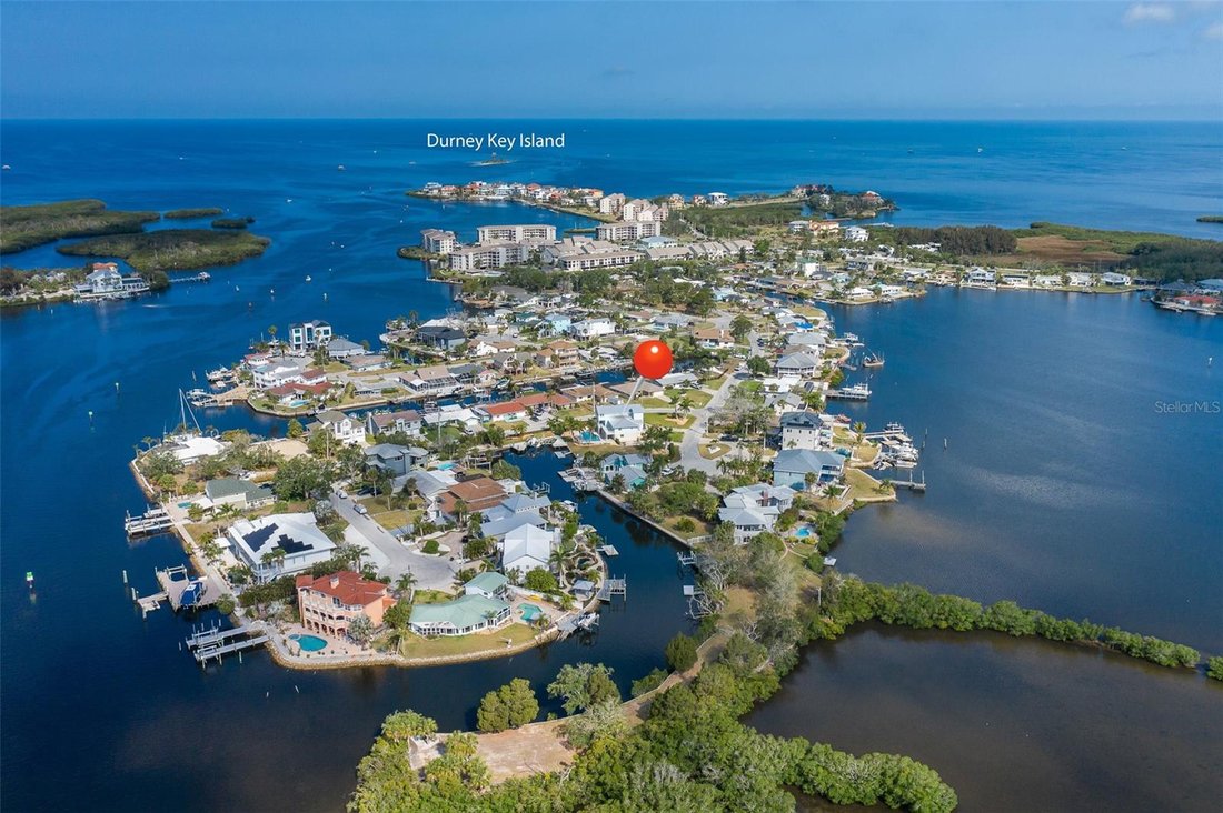 House in New Port Richey, Florida, United States 4 - 17178695