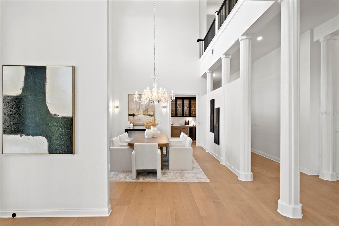 House in Tampa, Florida, United States 5 - 17179196