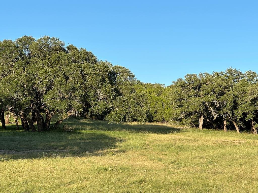 Hunt, Texas, United States 3 - 17173844