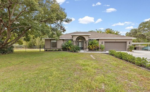 Maison à New Port Richey, Floride, États-Unis 1