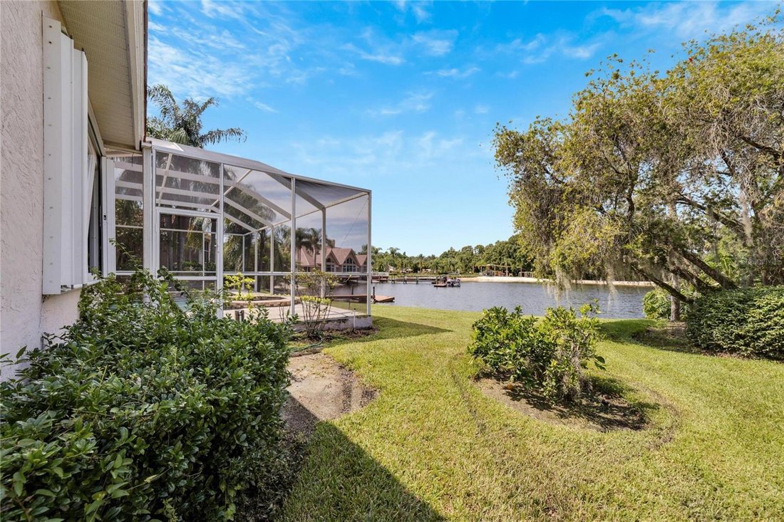 House in Tampa, Florida, United States 3 - 17185685